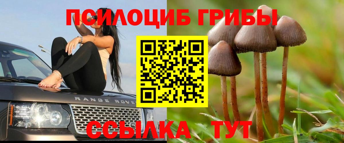 Россошь  Галлюциногенные грибы MAGIC MUSHROOMS  Вход с VPN 